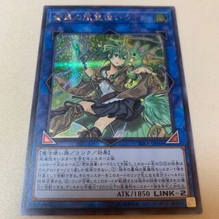 蒼翠の風霊使いウィン シークレットレア