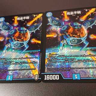 完全不明 2枚セット