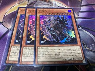 【最安値】天獄の王