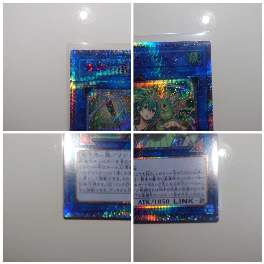 蒼翠の風霊使いウィン、ヒータ、アウス、エリア20thセット