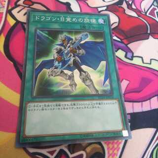 The Melody of Awakening Dragon Collector's Rare