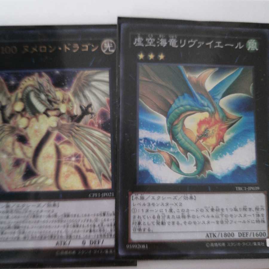 No.100 ヌメロン・ドラゴン