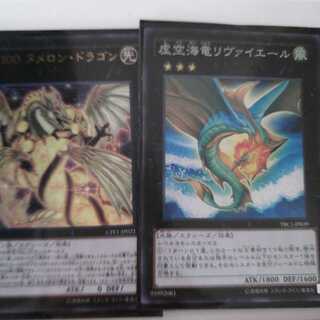 No.100 ヌメロン・ドラゴン