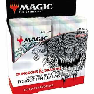 フォーゴトン・レルム探訪コレクターBOX2箱、