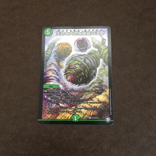 Life, Earth and Roaring Decision SR