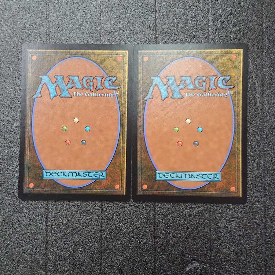 MTG Gilded Goose Set of 2