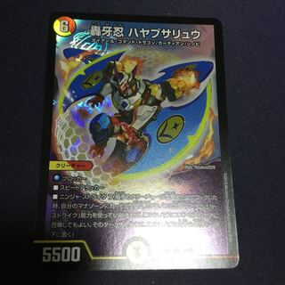 轟牙忍 ハヤブサリュウ