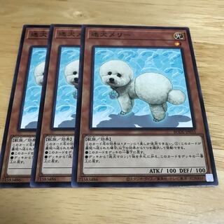 迷犬メリー ノーマルレア　Hulu