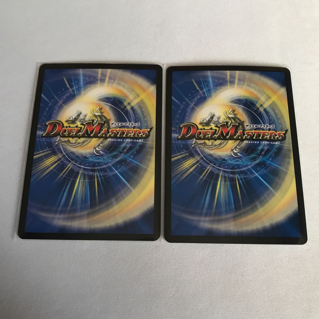 龍風混成 ザーディクリカ　2枚