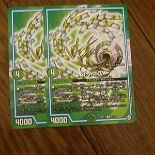 即日発送　イイネⅣ