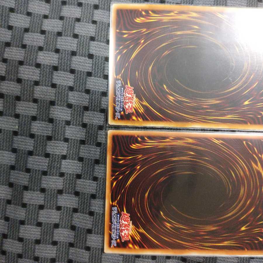 D-HERO デストロイフェニックスガイ2枚セット