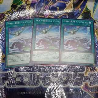 神鳥の霊峰エルブルズ ノーマル　3枚　【ライジングランペイジ】