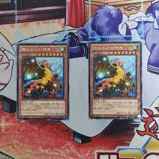 霞の谷の巨神鳥 レア