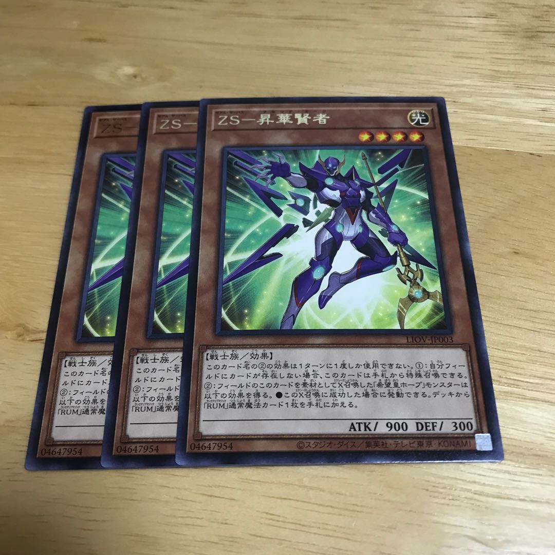 ZS-昇華賢者 レア Hulu