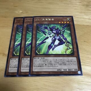 ZS-昇華賢者 レア　Hulu