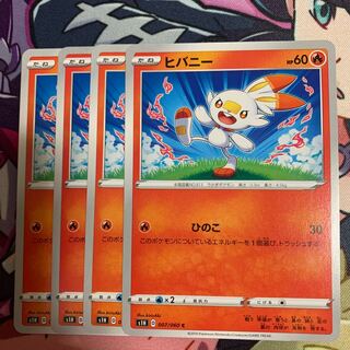 ヒバニー4枚セット