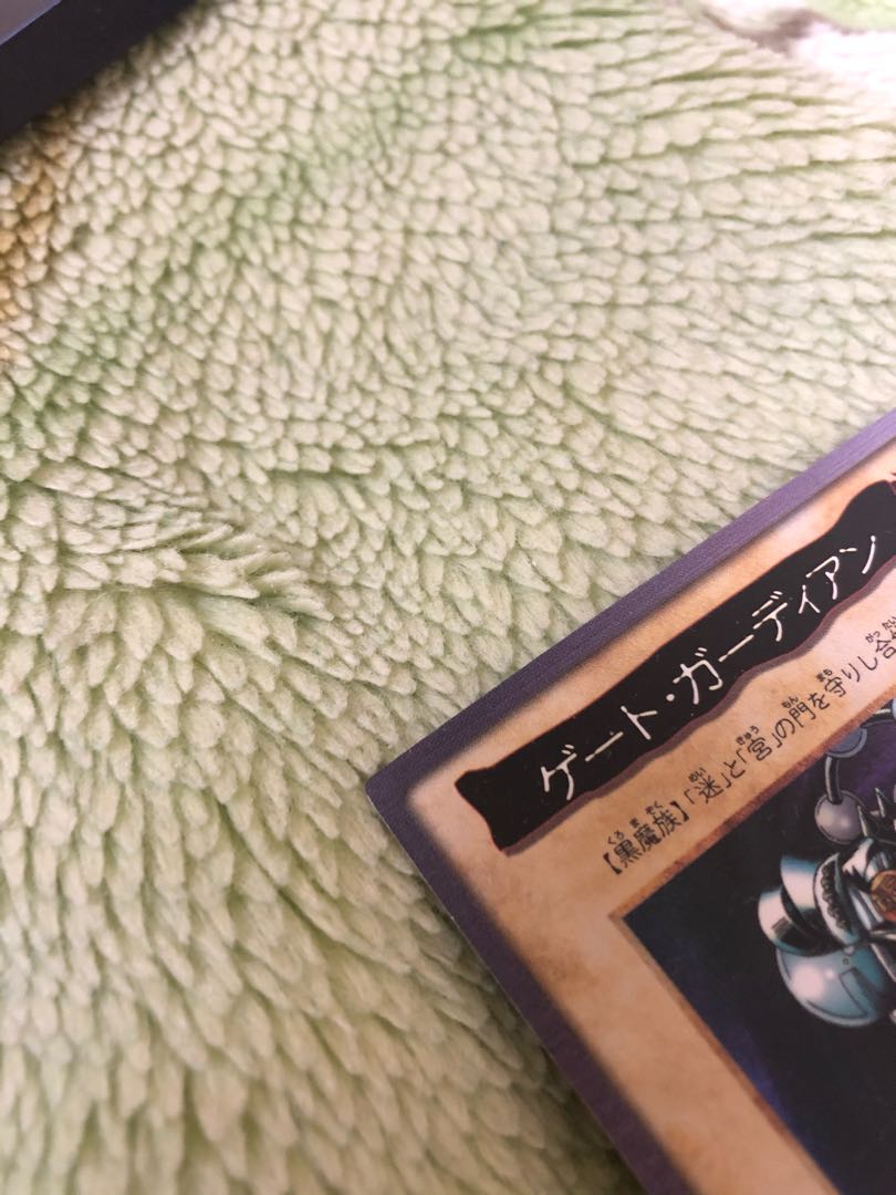 ゲート・ガーディアン