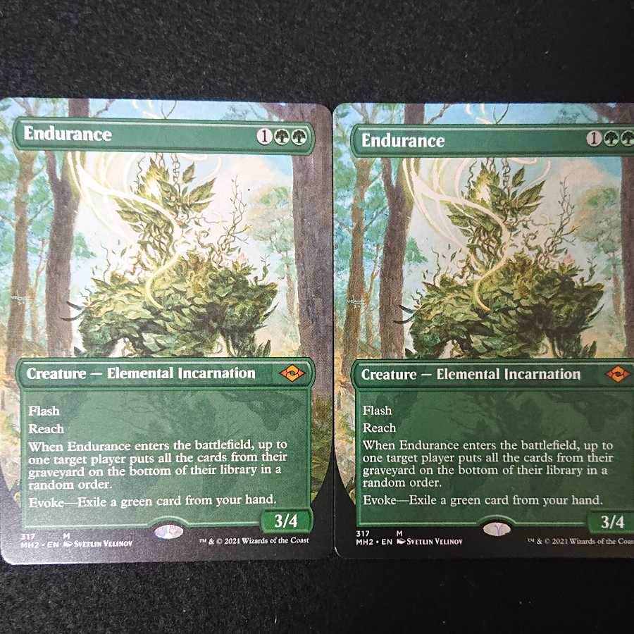 忍耐 ボーダーレス版 2枚