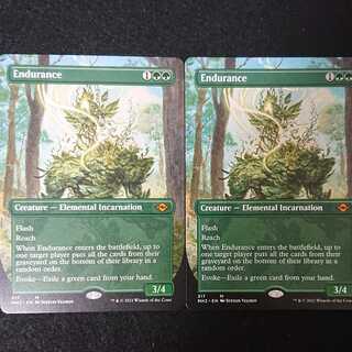 忍耐 ボーダーレス版 2枚