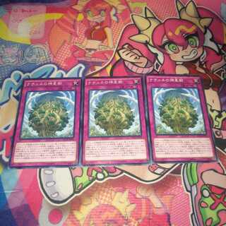 ナチュルの神星樹 ノーマル3枚