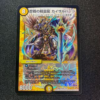 【美品】歴戦の精霊龍 カイザルバーラ