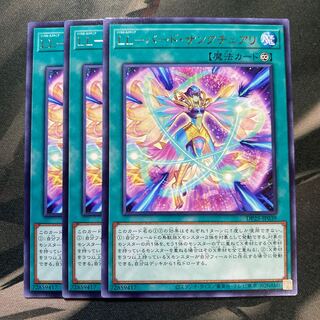 LL-バード・サンクチュアリ レア