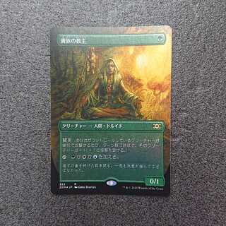 MTG Noble Hierarch foil extended art