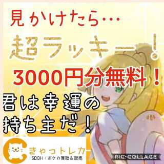 ★見かけたら超lucky★PREMIUMオリパ
