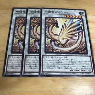 甲纏竜ガイアーム ノーマル　Hulu