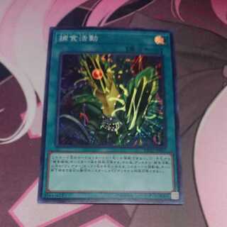 Predapractice Super Rare