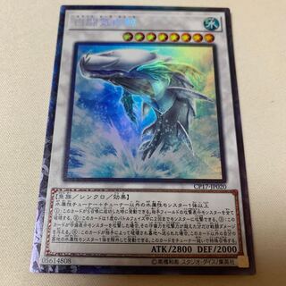 白闘気白鯨 コレクターズレア