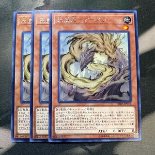 天威龍-アーダラ レア