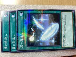 翼の恩返し パラレル ノーマル