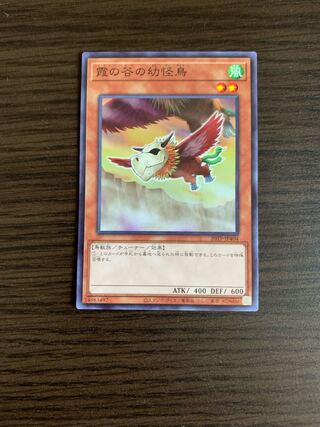 Mist Valley Baby Roc Normal