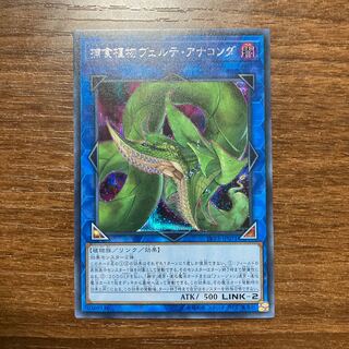 捕食植物ヴェルテ・アナコンダ シークレットレア