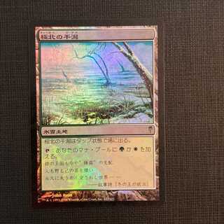 CSP [Arctic Flats] Japanese Foil