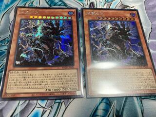 【最安値】天獄の王