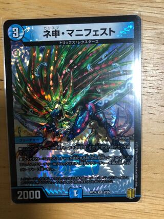 ネ申・マニフェスト