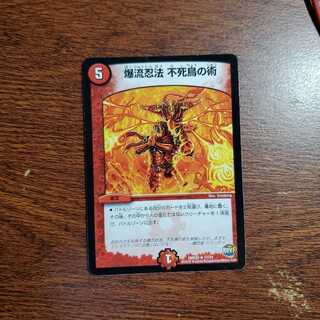 爆流忍法 不死鳥の術