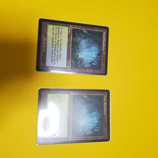 Mtg 霧深い雨林 旧枠　2枚セット