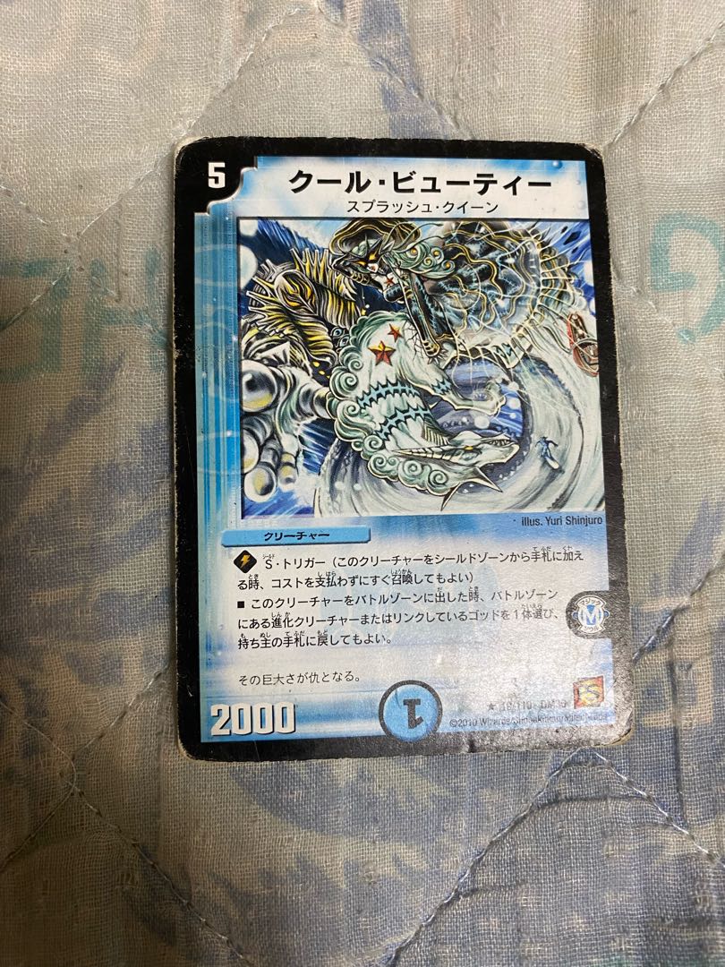 クール・ビューティー