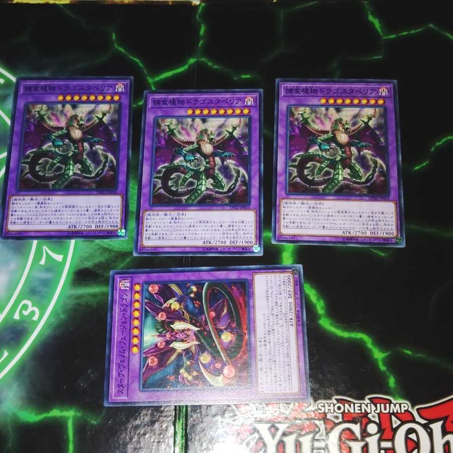 Predaplant Dragostapelia Stave