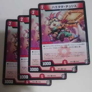 ハエタタ・チュリス