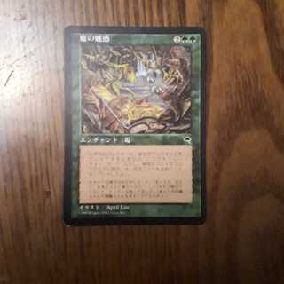 魔の魅惑 1枚 (Used) （769588382）| magi -TCG Marketplace- | magi
