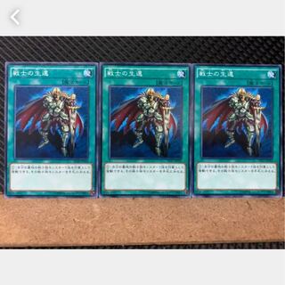 [Popotan] Yu-Gi-Oh! 2142 The Warrior Returning Alive 3 cards Normal