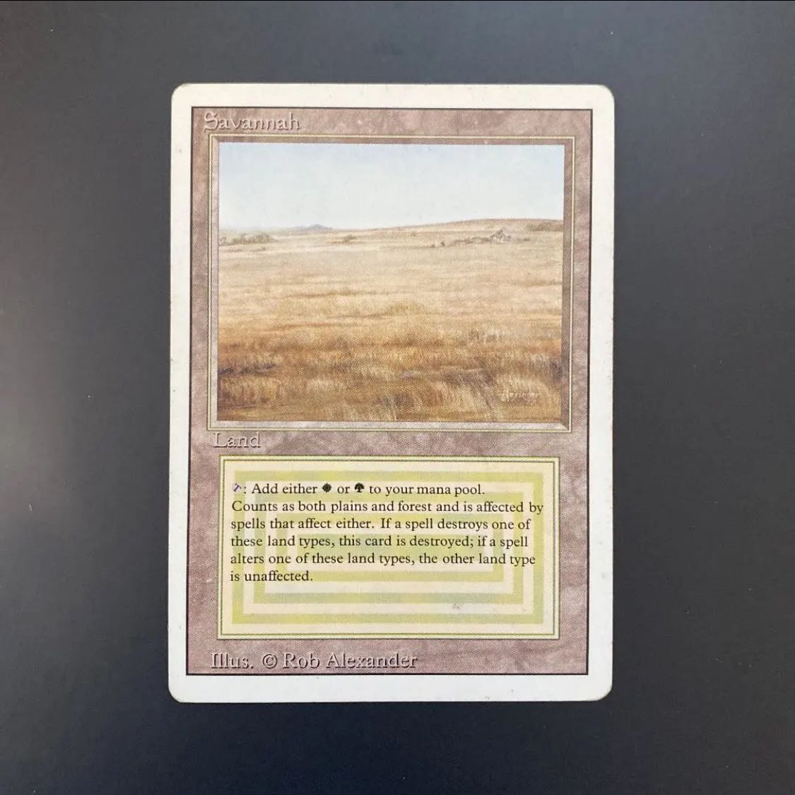 MTG Savannah English