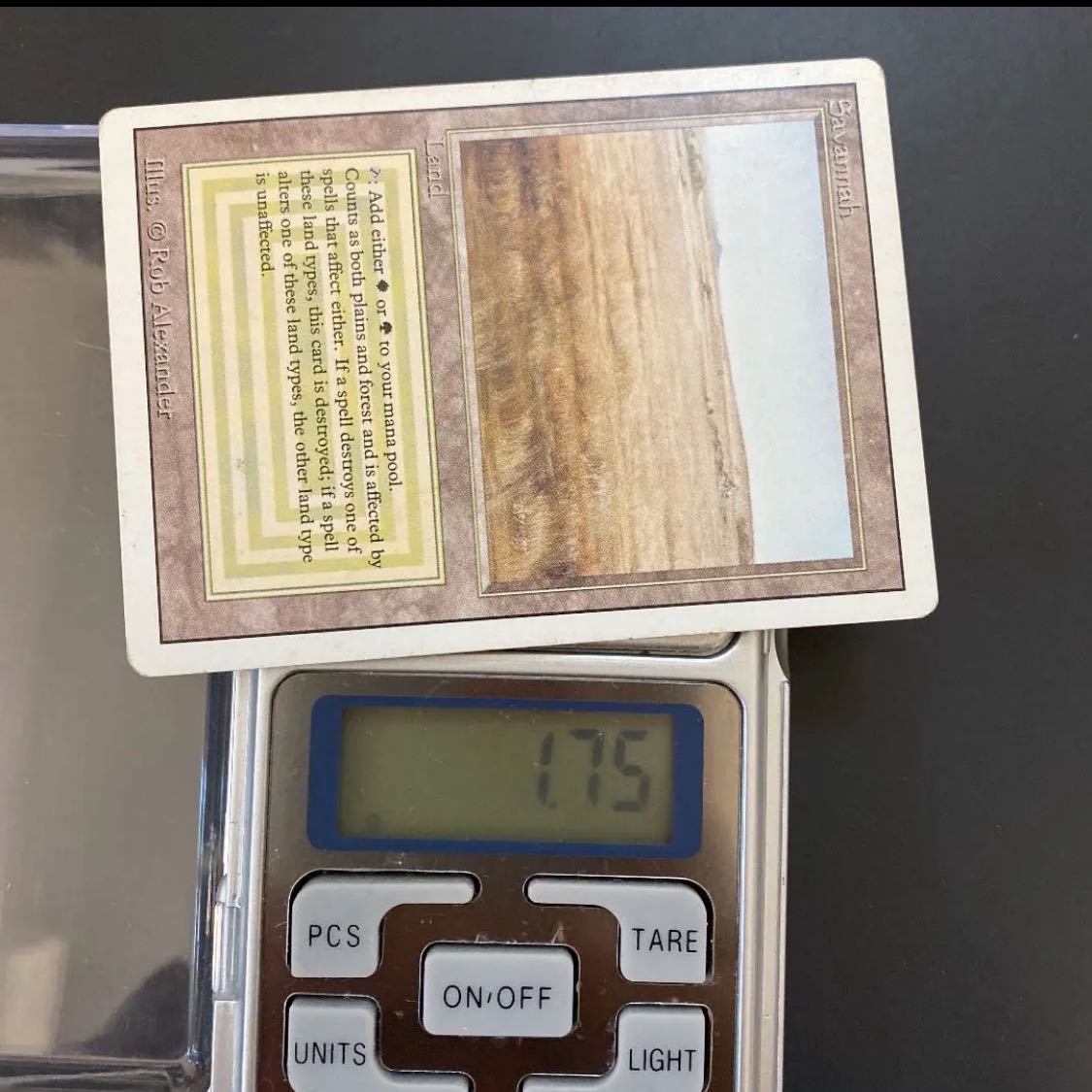 MTG Savannah English