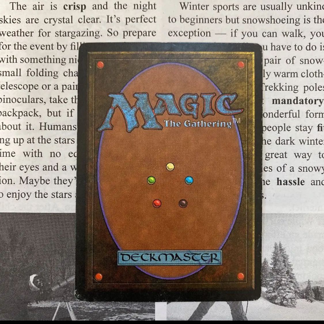 MTG Savannah English