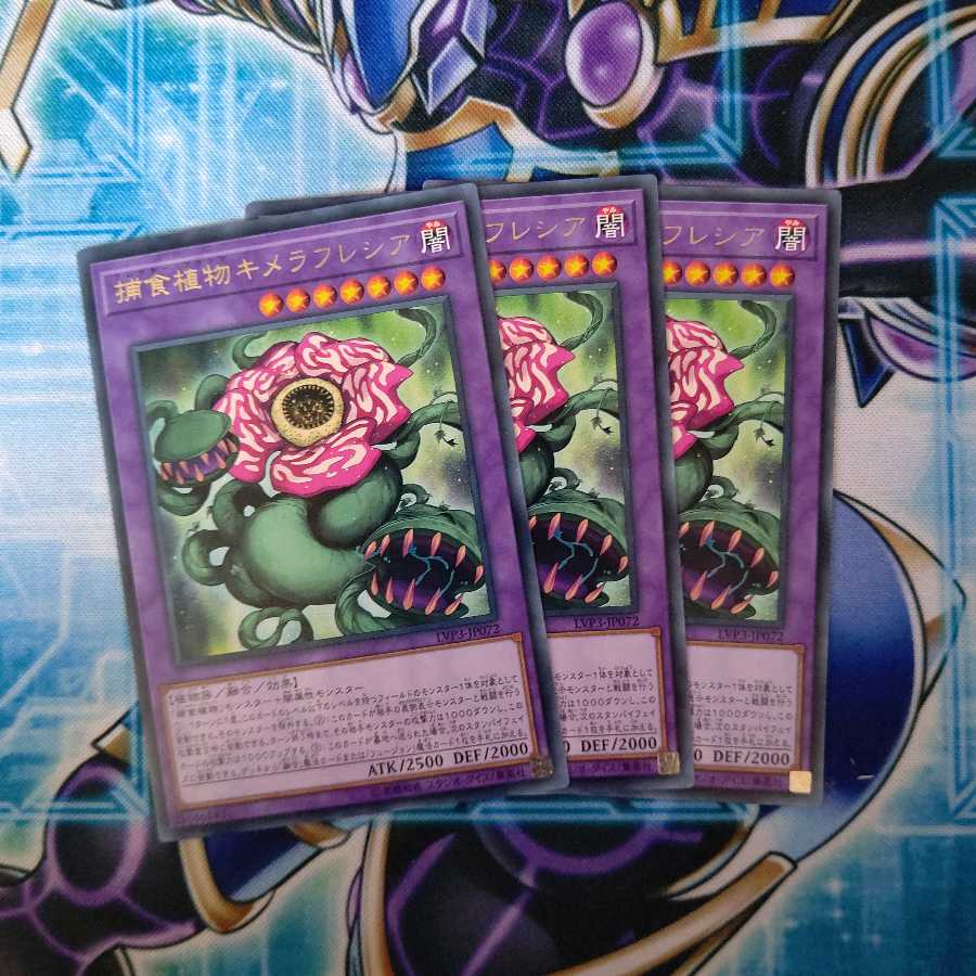 捕食植物キメラフレシア レア 3枚セット