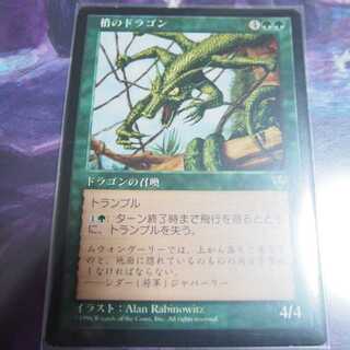 梢のドラゴン Canopy Dragon ミラージュ 再録禁止 の通販 かかぽ Magi トレカ専用フリマアプリ